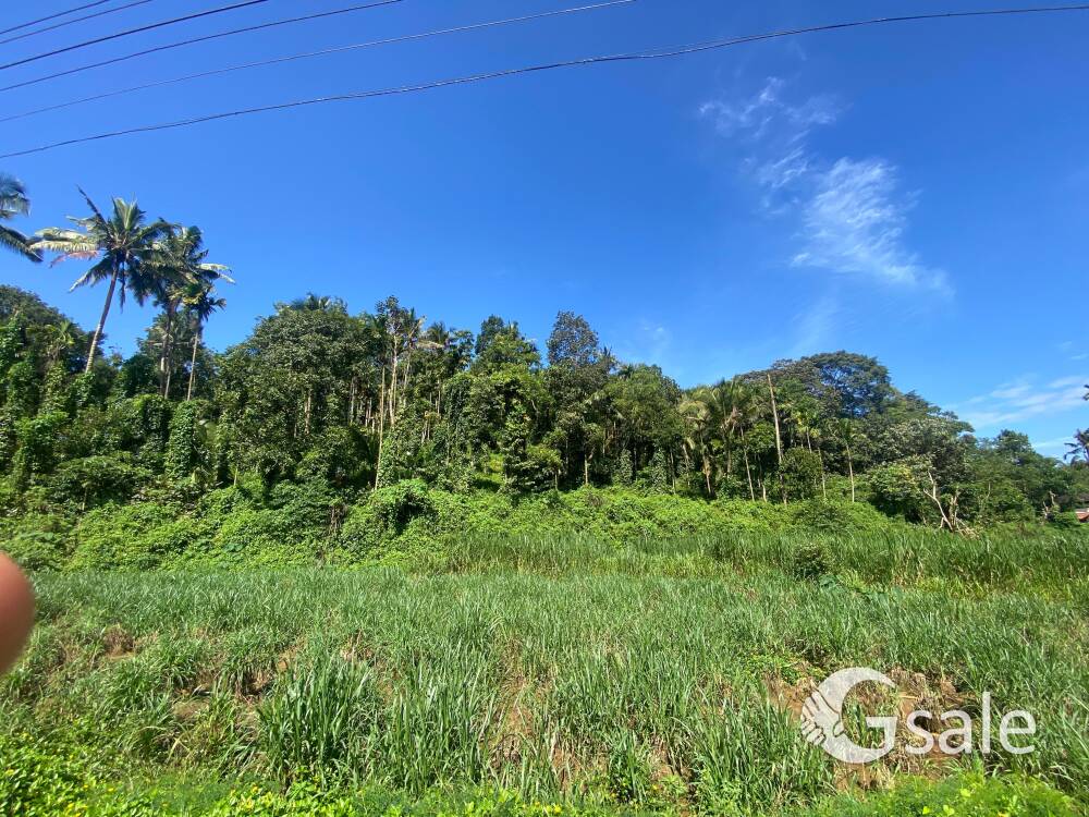 1 acre land for sale