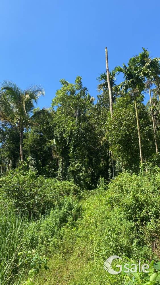 1 acre land for sale