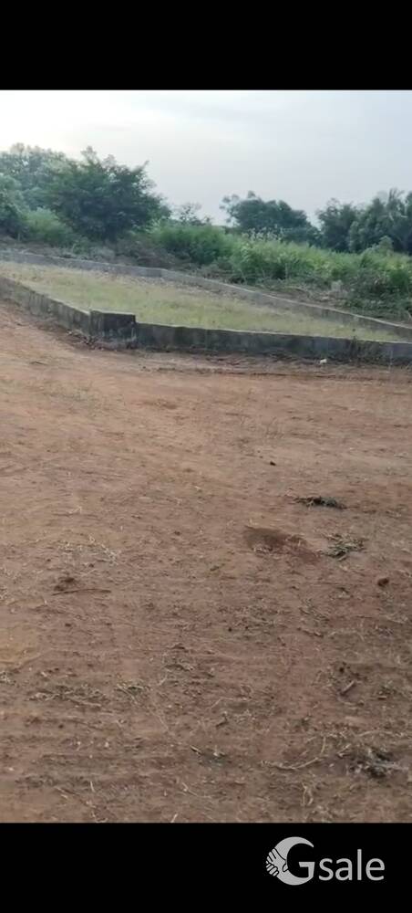 North East corner and south east corner vuda and panchayat approval plots.