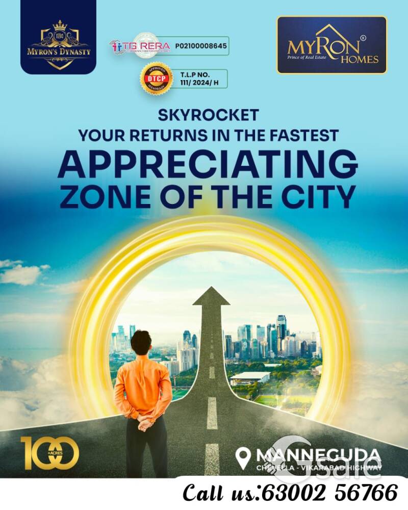 myron homes, myron Dynasty 