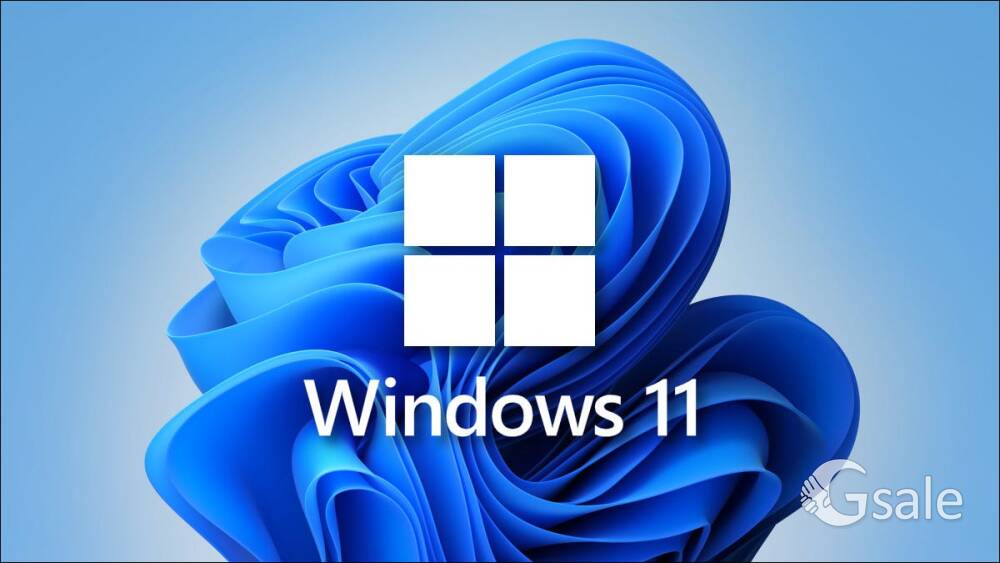 Windows 10 / 11