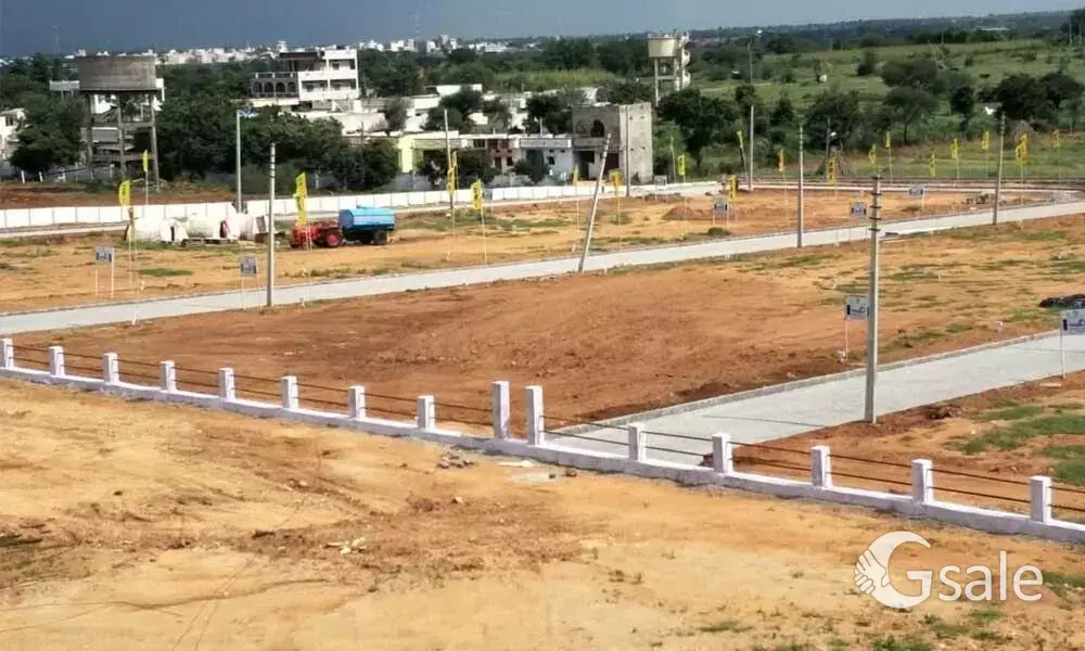 SHREE SHYAM ASSOCIATES 