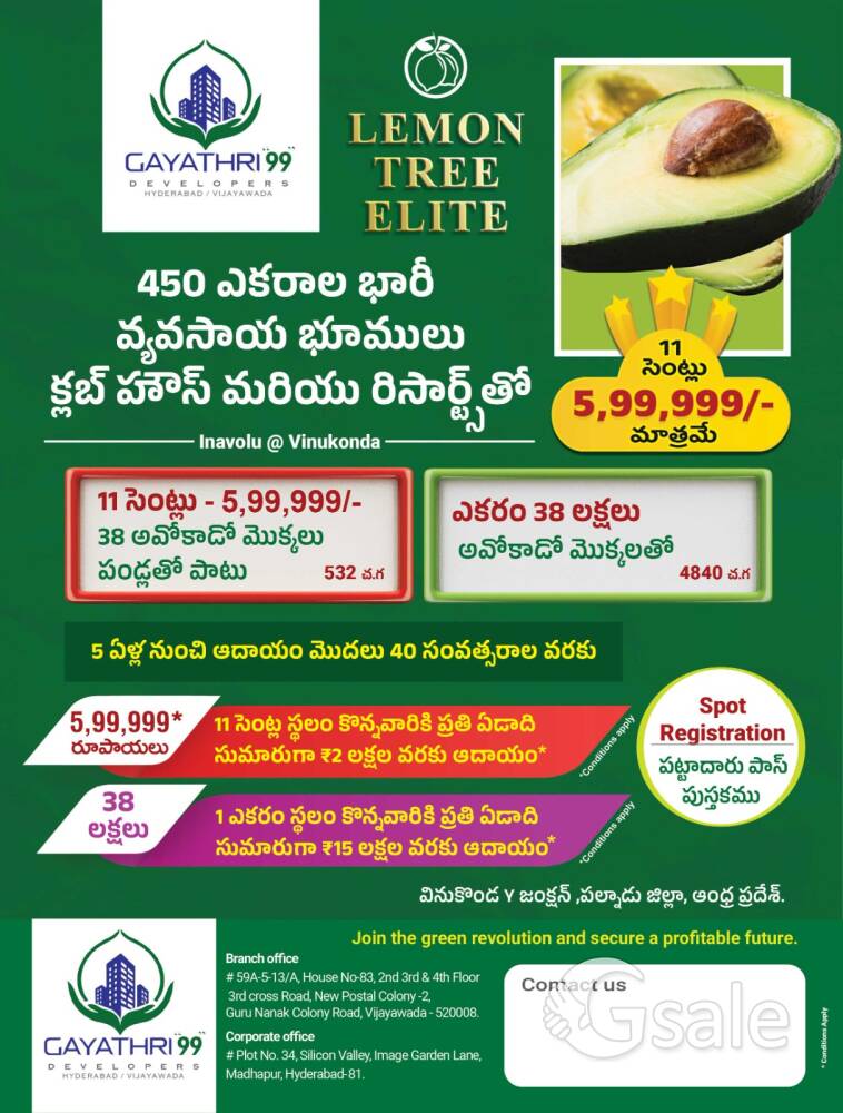 11 cents for 6 lakhs