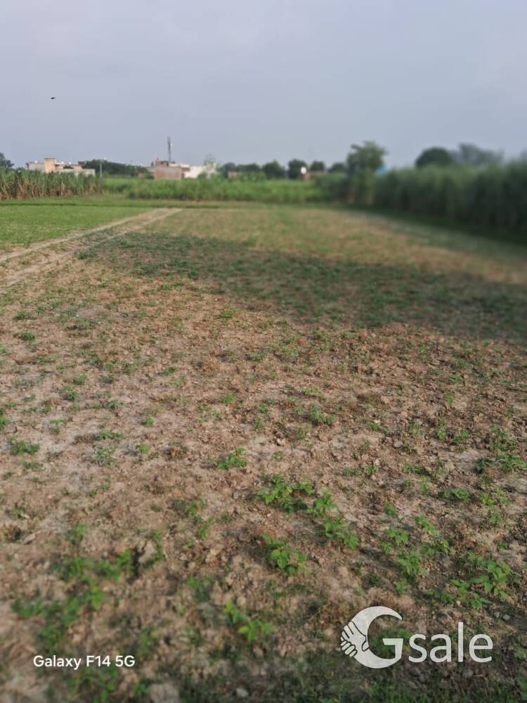 30 बीघा नई मवाना कोर्ट का पास 