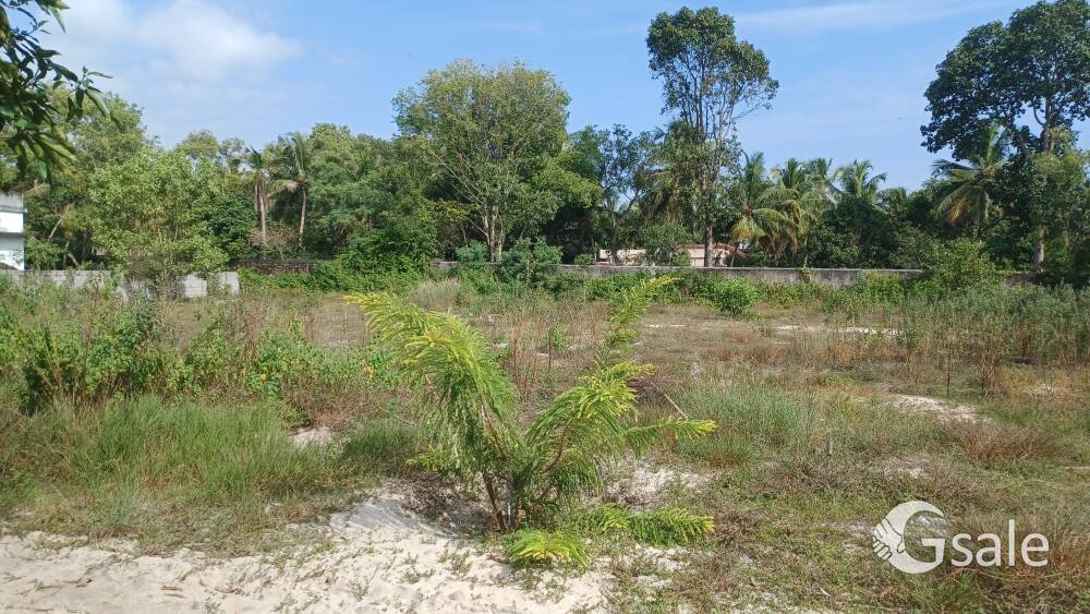 53 cents plot for sale, Commercial or Residential purpose at Thiruvananthapuram, Bhind kazhakuttnfra