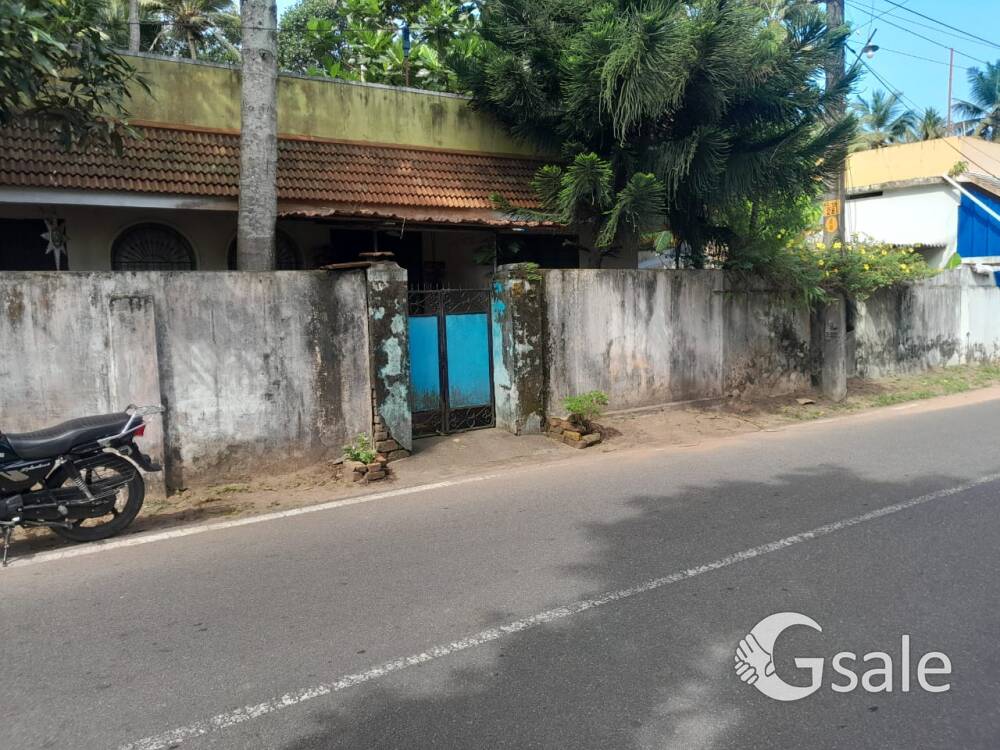 24 cent property with two old house