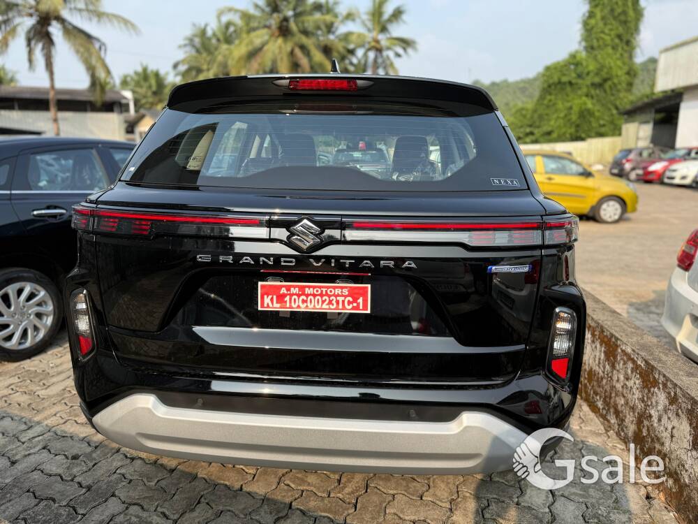 GRAND VITARA SIGMA MT LIMITED EDITION 