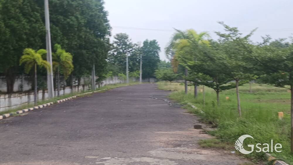 VIZAG plots Near Bhogapuram 