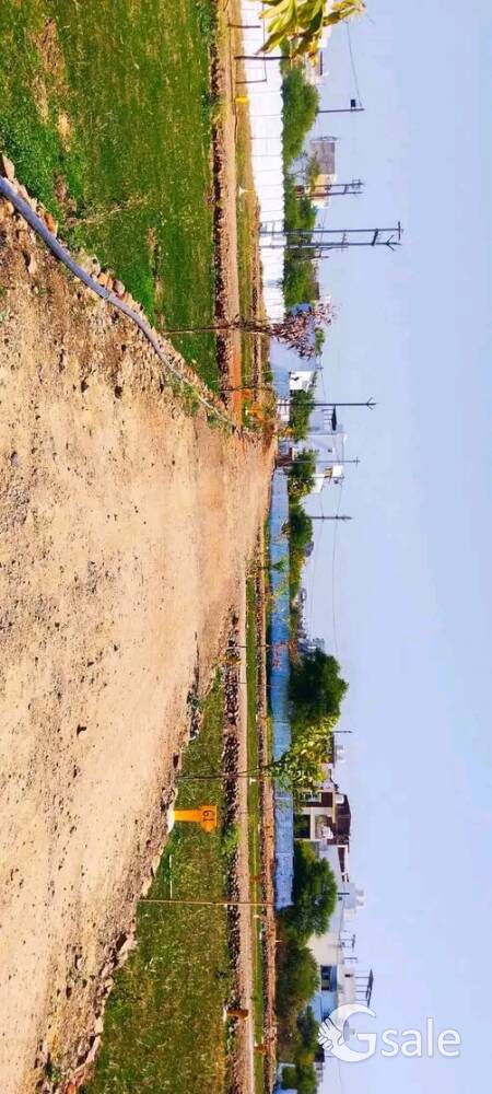 residential property 