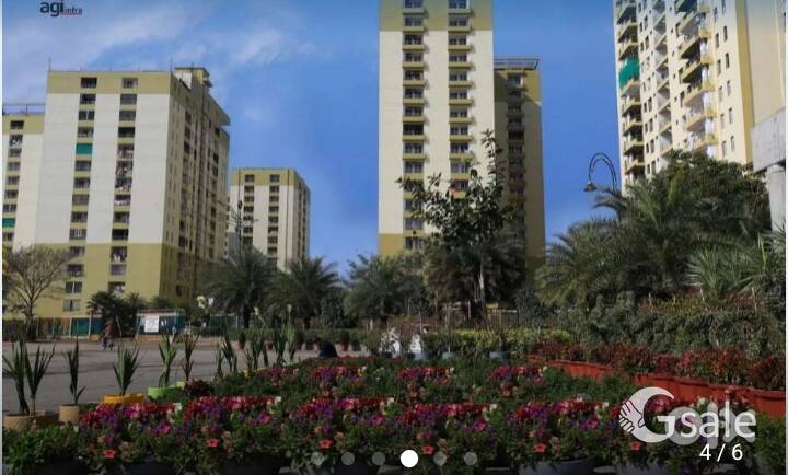 Jalandhar heights 2 iconic 4bhk flat on rent 60000/ per month 