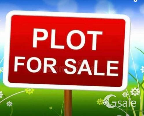 12 Marlas plot vijay nagar nr football chowk 14 lac per marla 