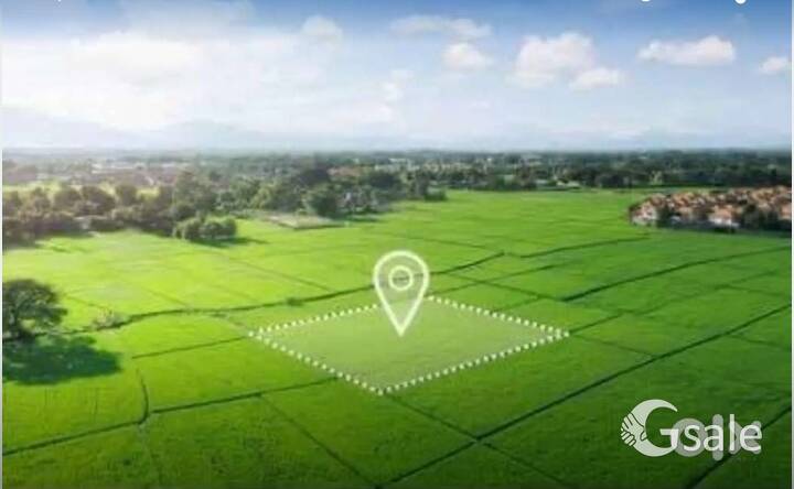 5 acre land 33 lac acre just 7km from curo pvr cinema 66ft road 
