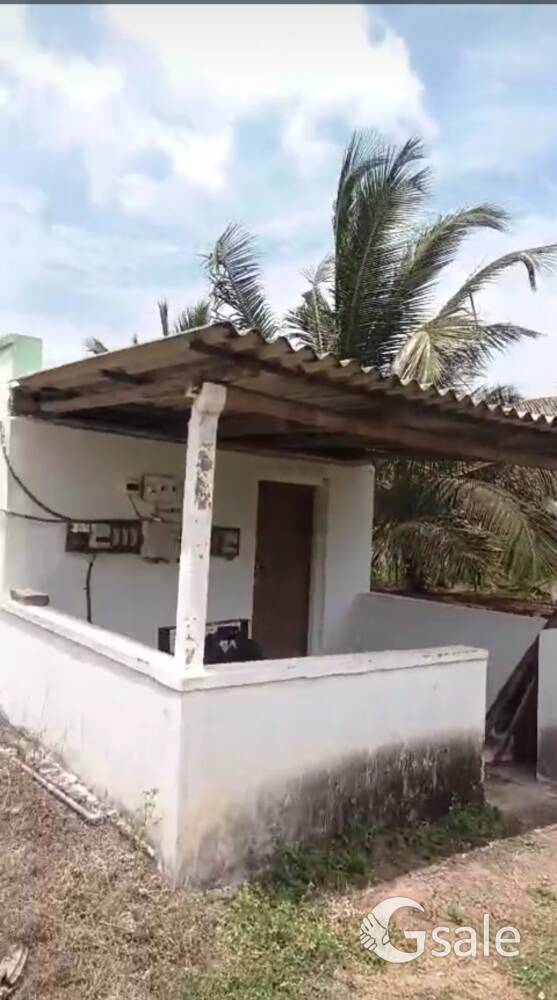 Coimbatore District Kinathukadavu Coconut Farmland 