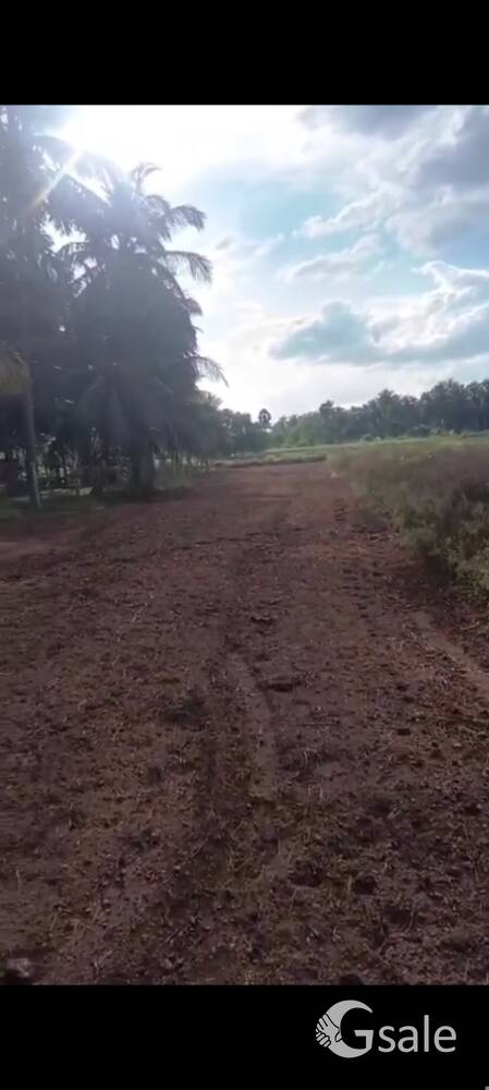 Kinathukadavu Near Agricultural Farmland 