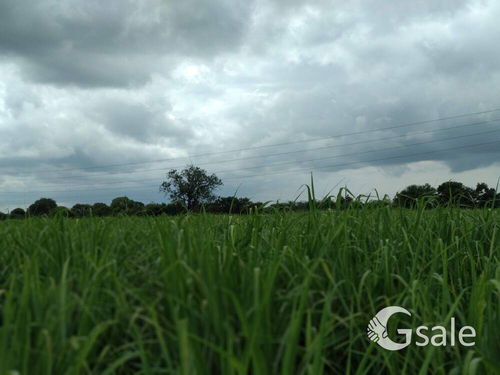  2 acre agriculture land