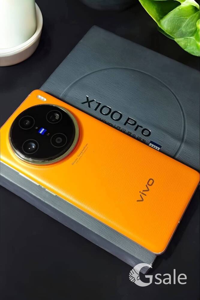 vivo x100pro
