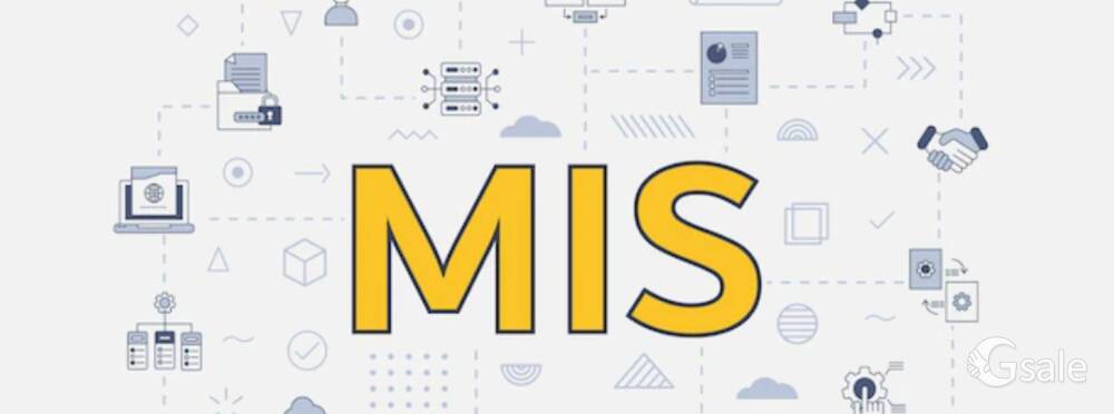 Customer Relationship Manager /MIS