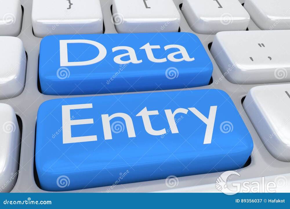 DATA ENTRY 
