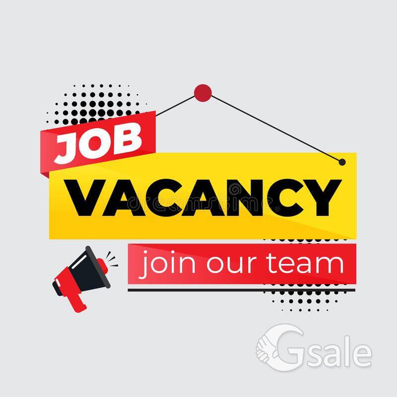 WANTED DATA ENTRY FOR FRESHERS 