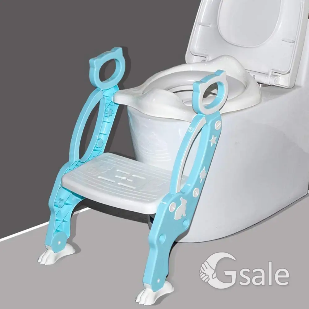 Potty Training Toilet Seat with Step Stool Ladder