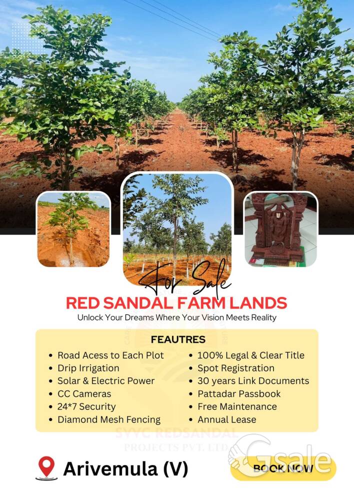 Red sandal Farmlands 