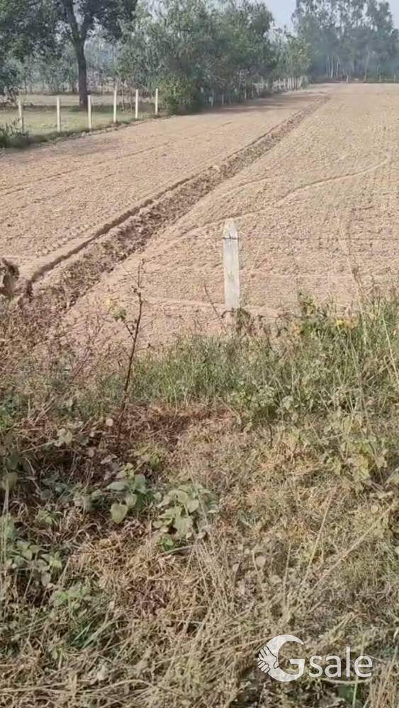 agriculture and commercial Lands