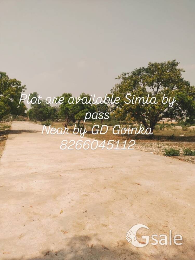 Shyam enclave near by GD Goenka Shimla bypass