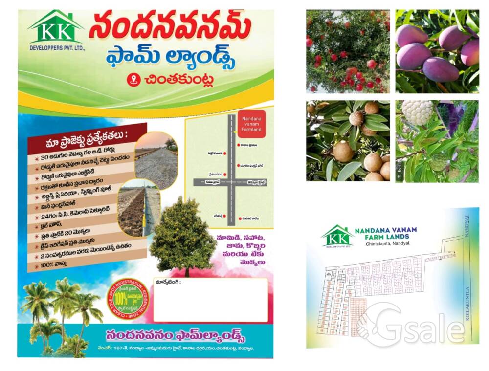 nandanavanam farm land