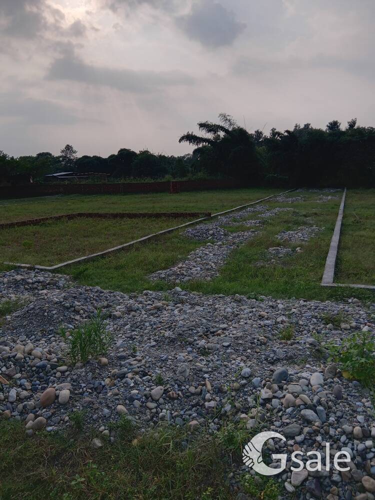 चकराता हाइवे से मात्र 500 मीटर की दूरी प्लॉट बिकाऊ है