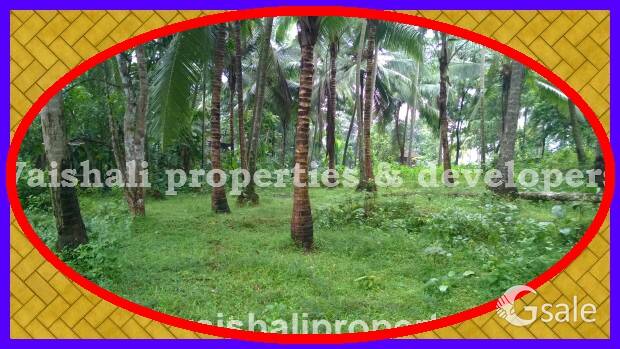 6 cents House plot in Prime Location in near Palakkada, Puthiyangadi