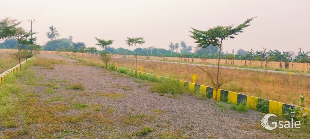 KANKIPADU BESIDE HOUSES
