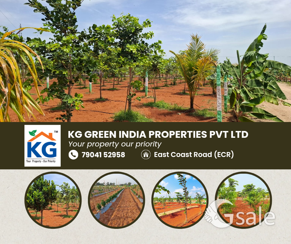 Redsoilfarmland with Redsandelwood Trees 