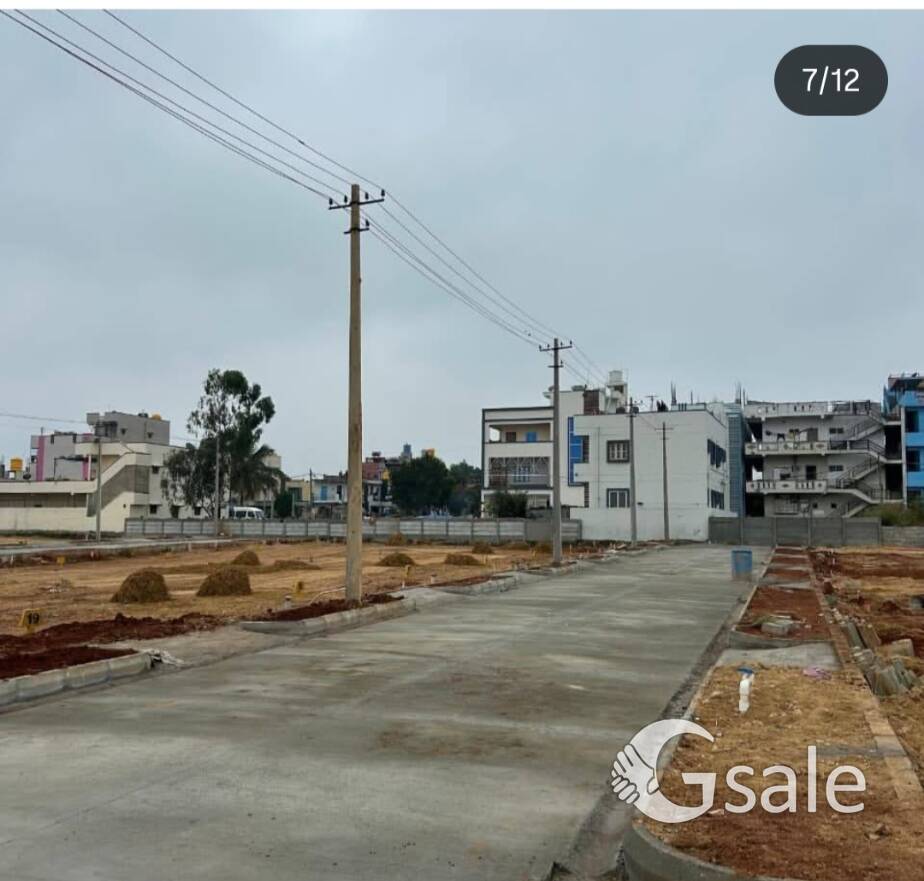 Erayaa prime rose Goldspire