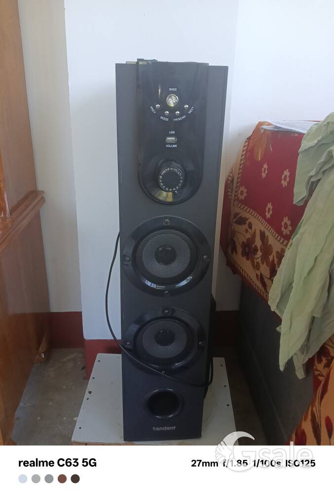 Tandem wireless sound system 