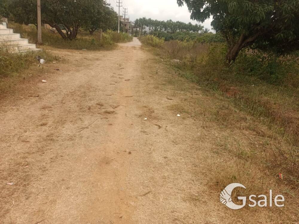 contact : 9740799193