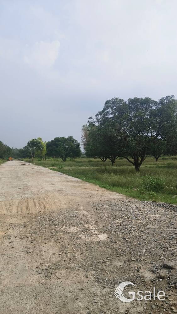 आवसीय परिसर में प्लाट उपलब्ध सभी सुविधा युक्त निवेश का सुनहरा अवसर।