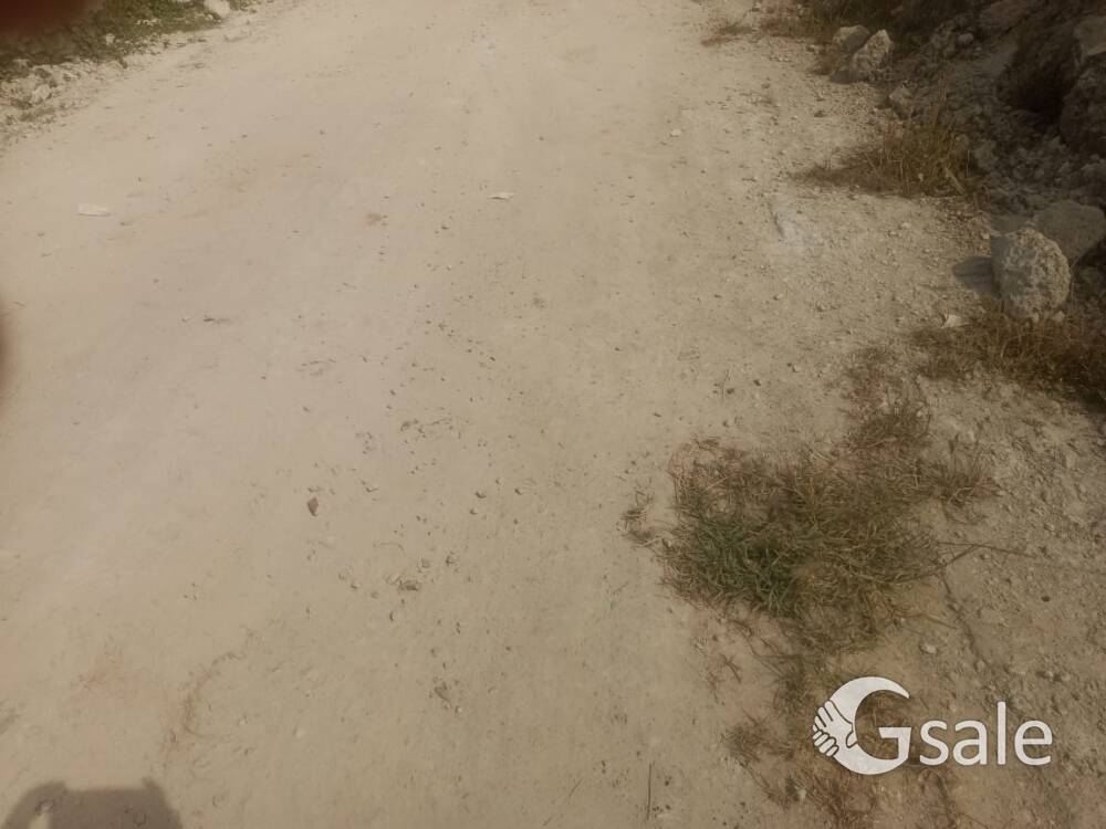 contact : 9740799193