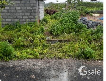 I want to sell my site which located in korlahalli next to Shimoga Airport 