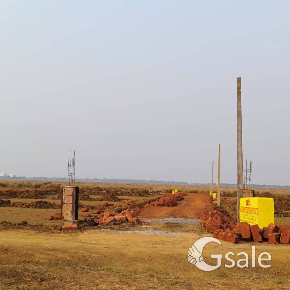 Future planing investment plot 