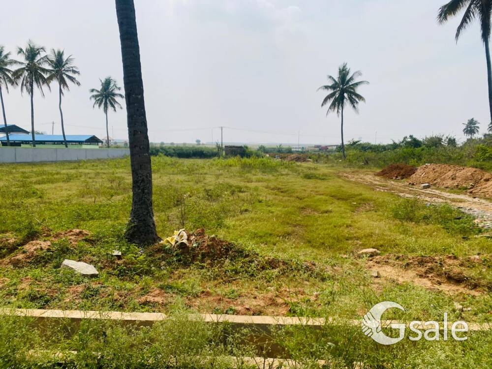 FARM LAND FOR SALE DEVANAHALLI 