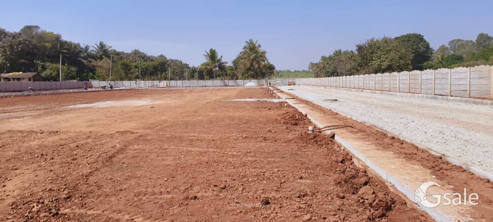 I want send my property 