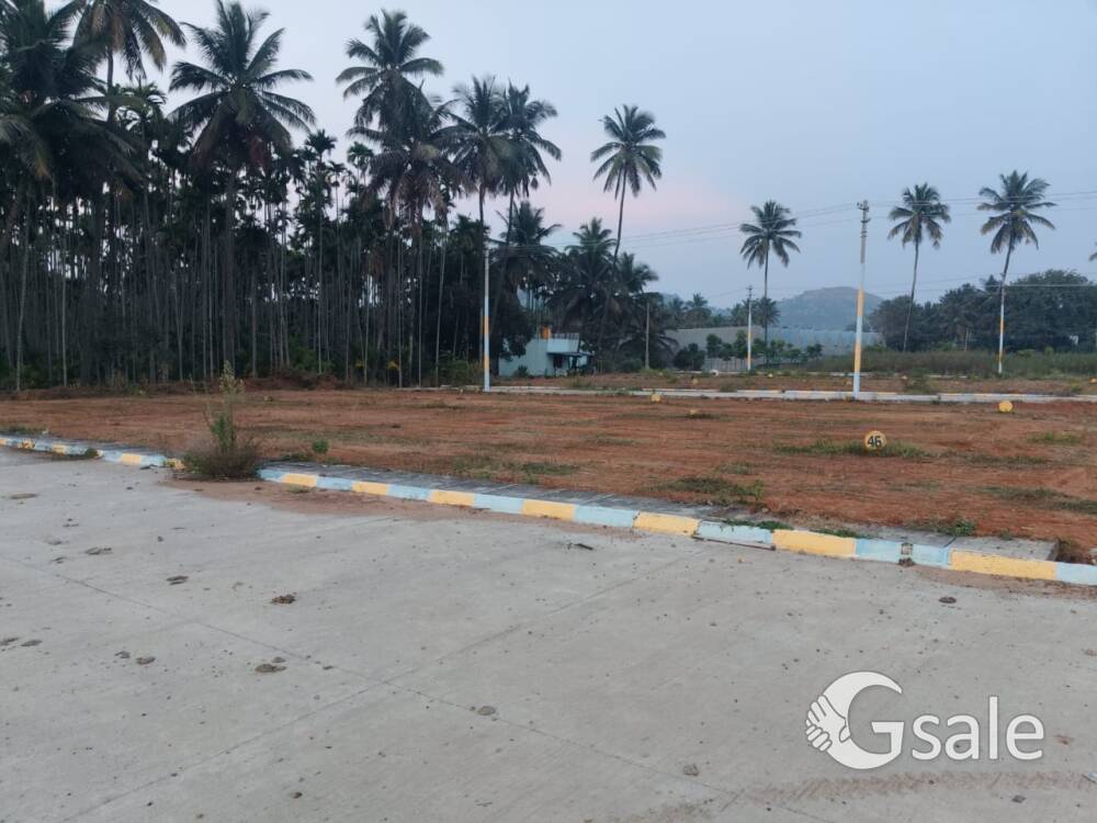 due to personal emergency i want to sell 