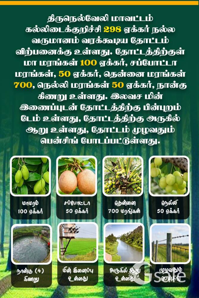 vip rich real estate 