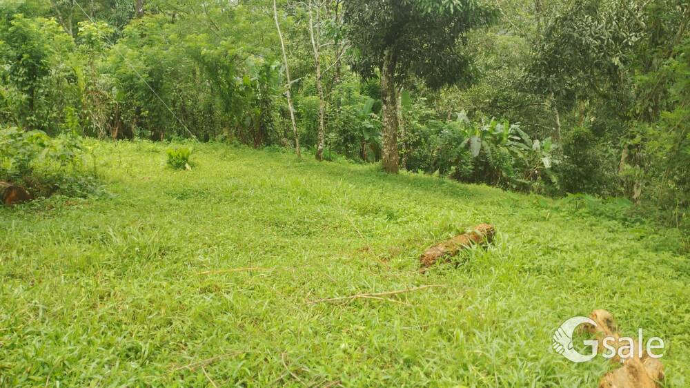 50 cent land moonnar, 