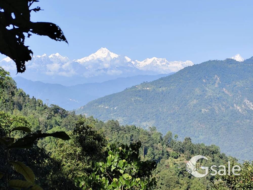 Land Sale Sinji-Kalimpong