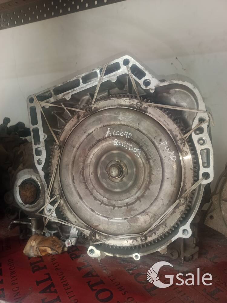 Honda Accord bulldog 