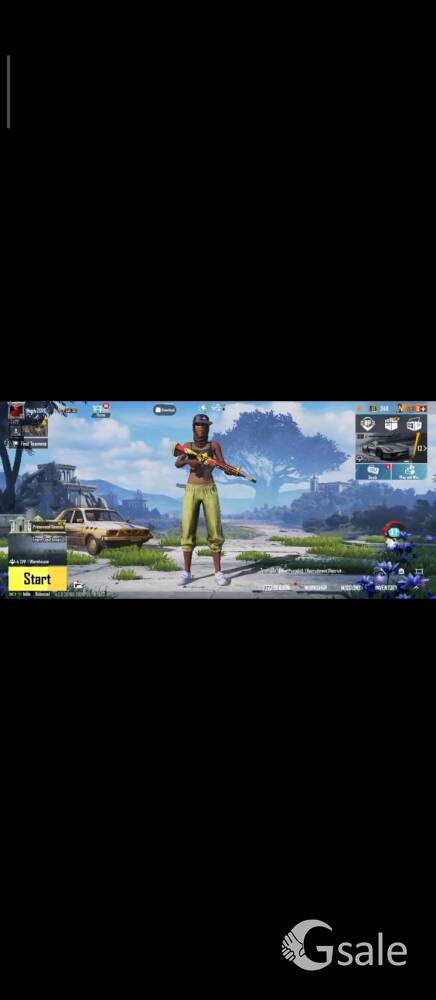 Bgmi id for just 80 rs