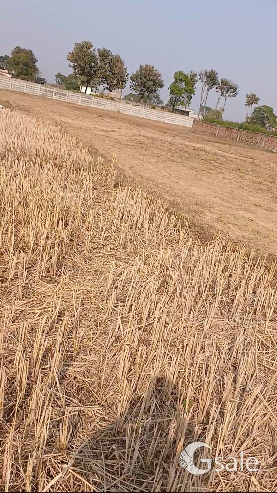 23 Decimal Genral Land In Ring Road Ranchi 