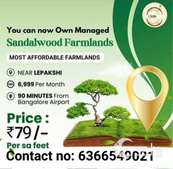 I SIRI MANAGED FARM LAND 