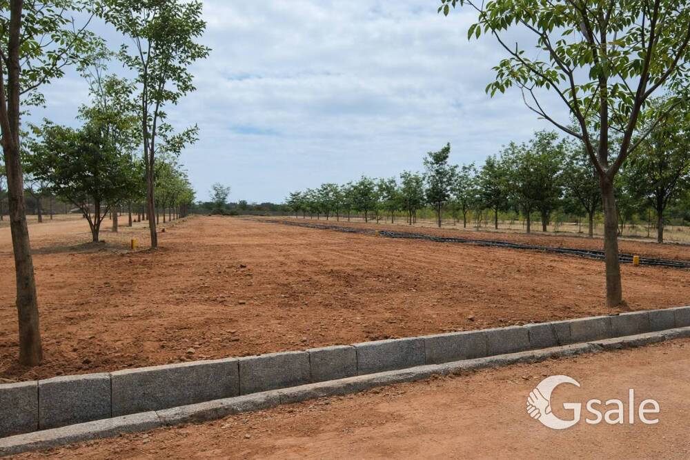 Invest in Nature – Plots Available from ₹9 Lakhs